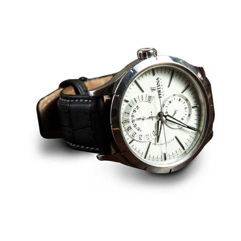 Festina Quartz Watch